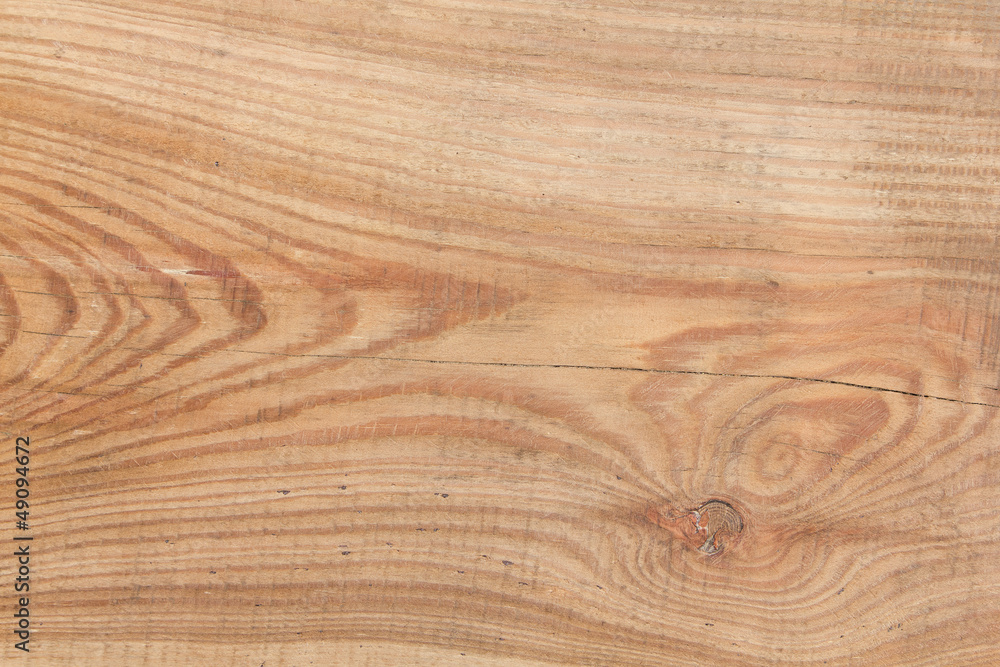 Fototapeta premium Larch tree wood texture