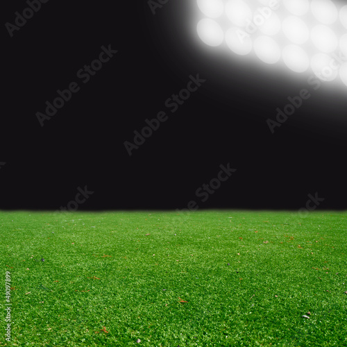 soccer field with bright lights © Dmitry Perov