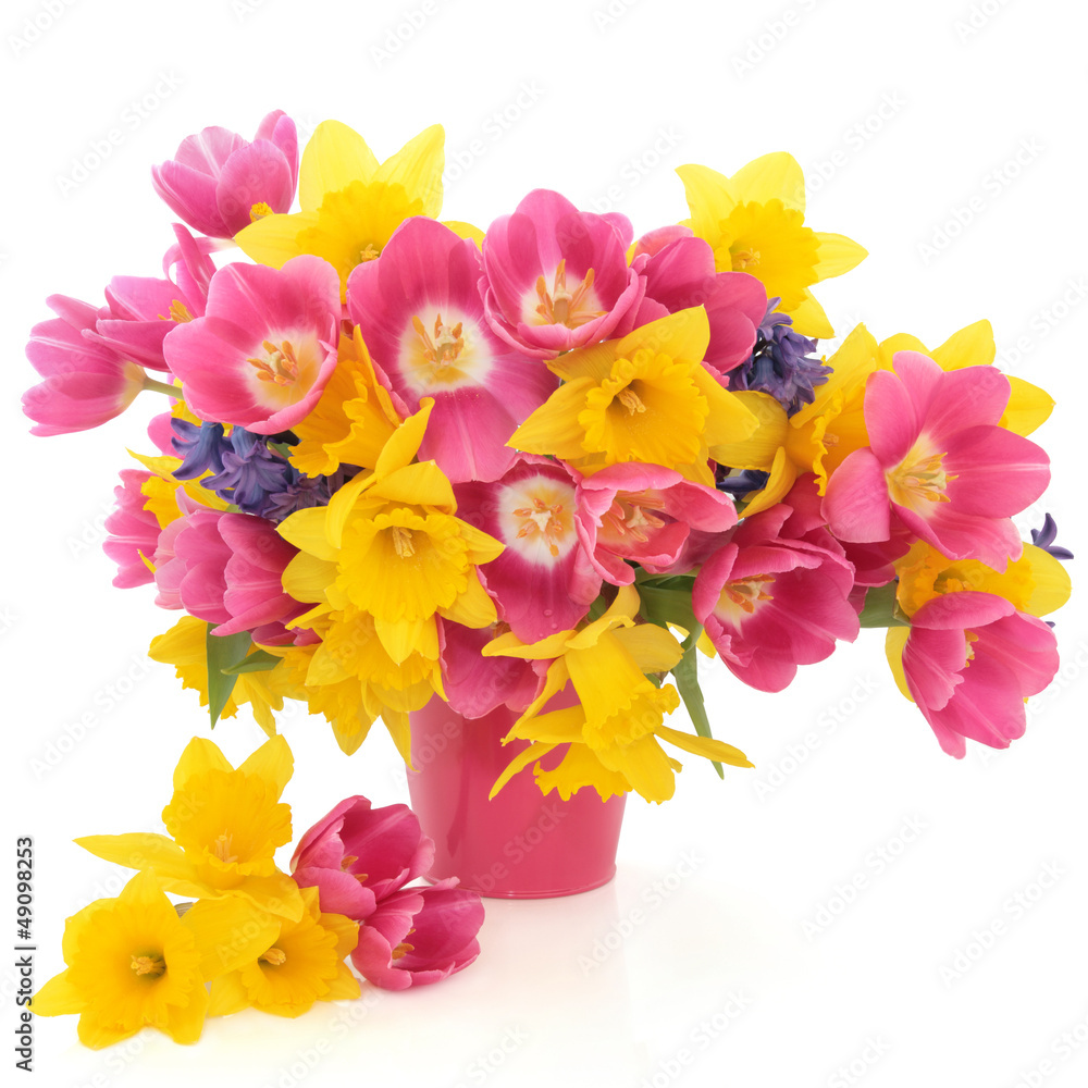 Obraz premium Spring Flower Beauty