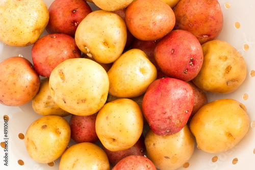 Washed Baby Potatoes in White Colander