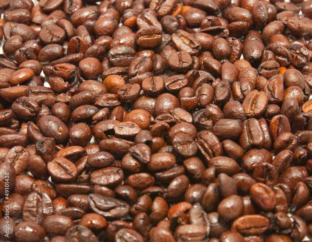 Coffee Bean Coffee Bean