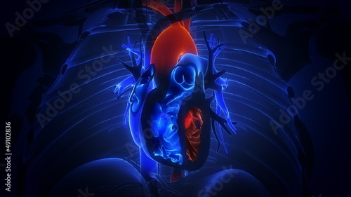 heart with blood action close up animation