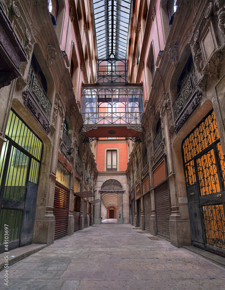 Fototapeta premium Pasage in Barcelona. Spain.
