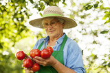 Senior woman holding tomatoes