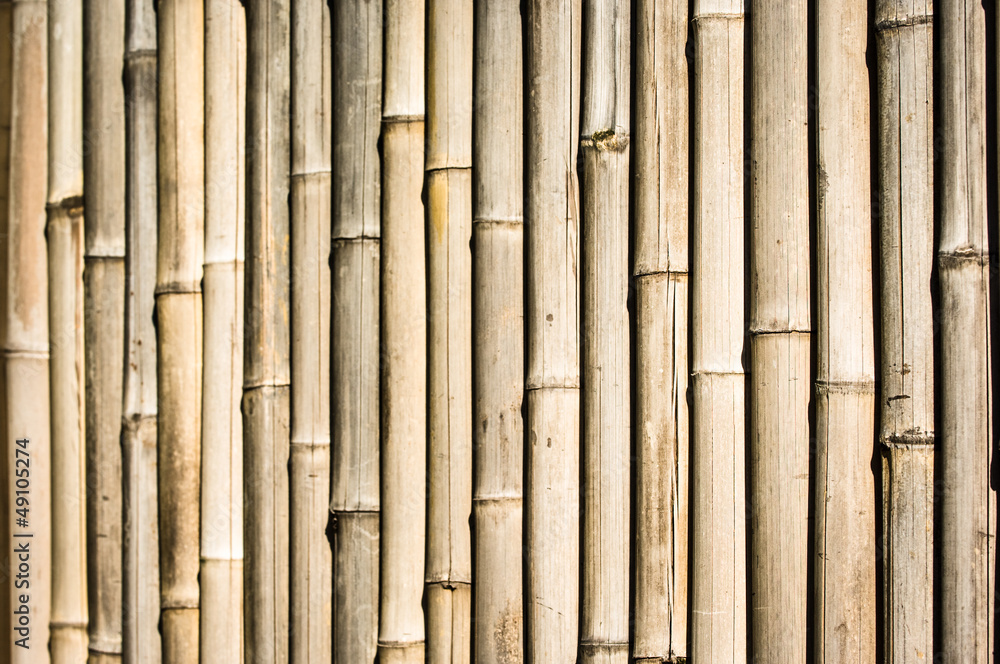 bamboo bamboo