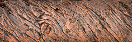 Texture de bois, panorama