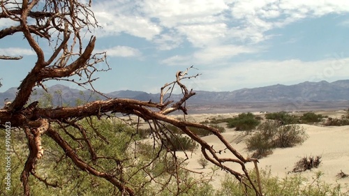 Sand dunes at death valley national park. Stovepipe Wells, USA.