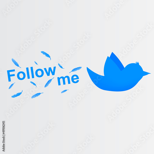 Follow me bird