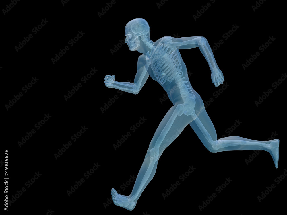 High resolution conceptual 3D human for anatomy High resolution conceptual 3D human for anatomy