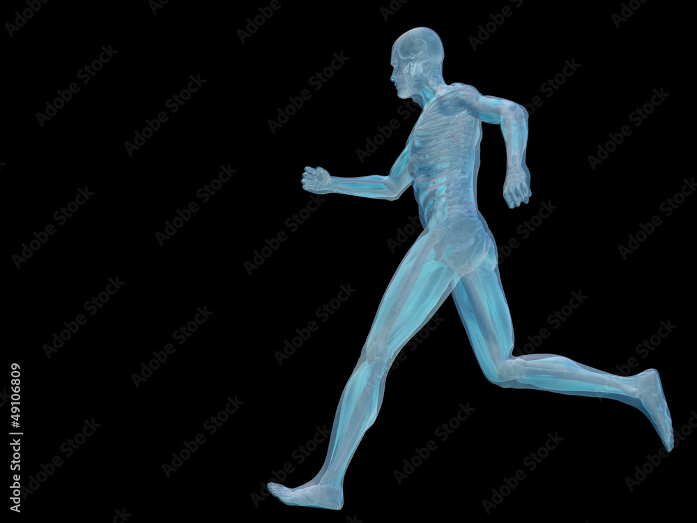 High resolution conceptual 3D human for anatomy High resolution conceptual 3D human for anatomy