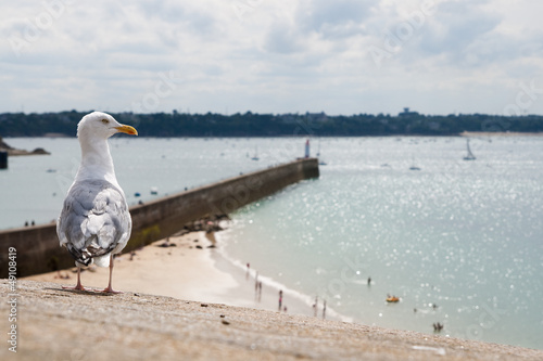 Baia di Saint-Malo photo