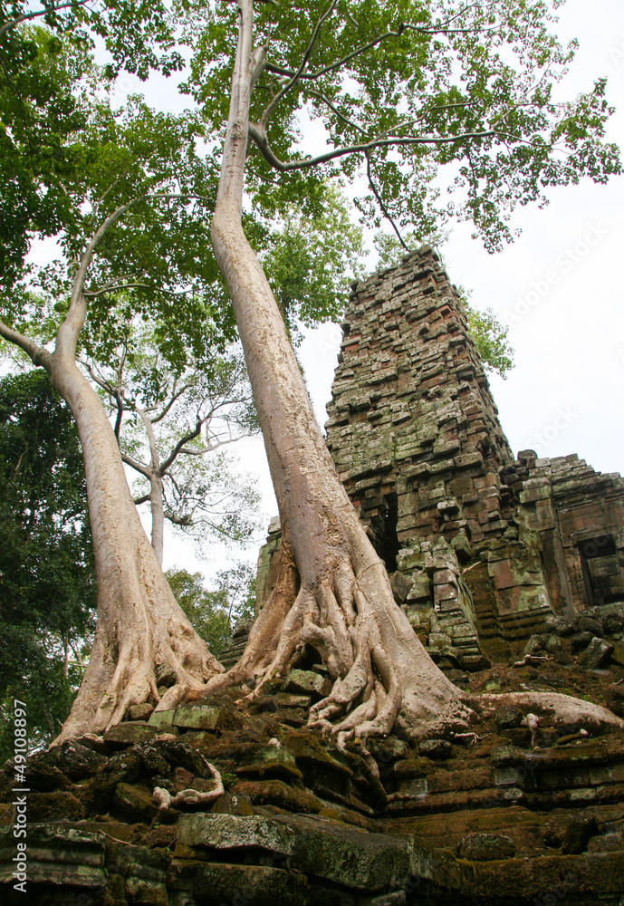 Preah Palilay temple at Angkor complex, Cambodia