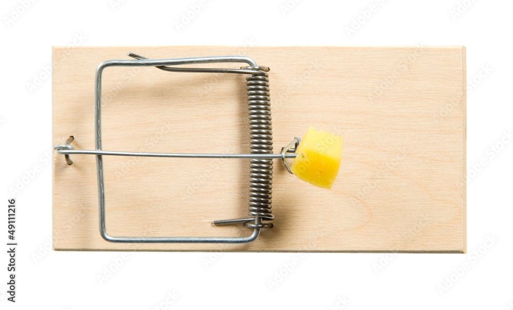 A mouse trap with cheese