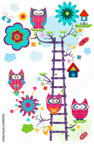 owl`s tree