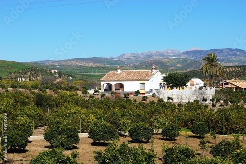 Farmhouse and orange grove, Alora, Spain © Arena Photo UK