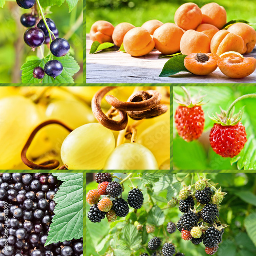 summer collage with fruits and berries