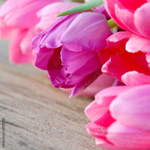 Fototapeta Naklejka Na Ścianę i Meble -  Tulpen Blumenstrauß in pink