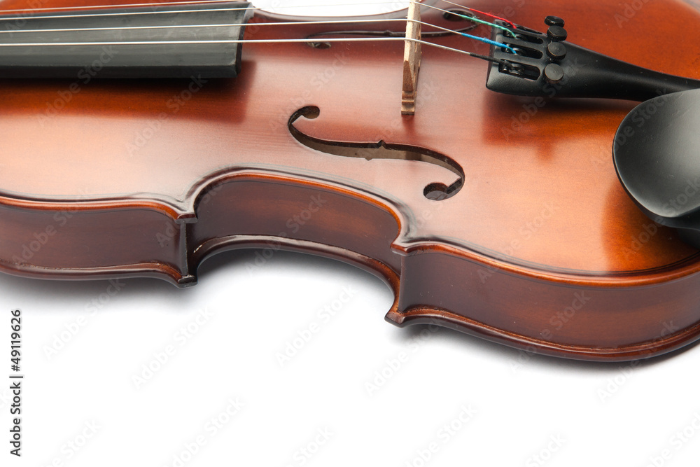 Obraz premium violin