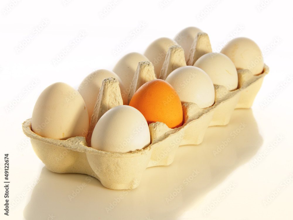 eggs in box eggs in box
