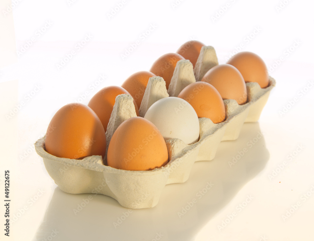 eggs in box eggs in box