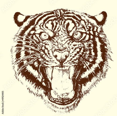 Tiger brüllt