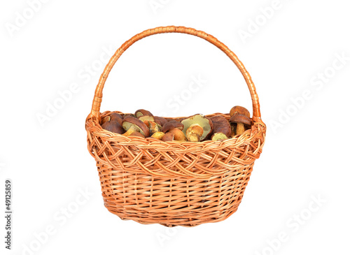 Boletus edulis mushroom in basket, isolated on white background