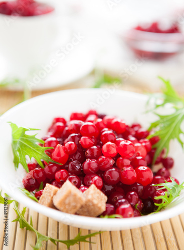 Cranberry with cane sugar in a white bowl