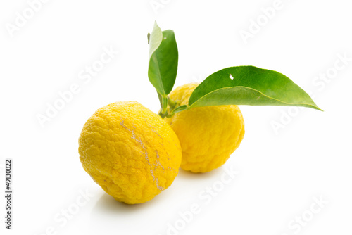 Japanese citron fruits isolated on white background