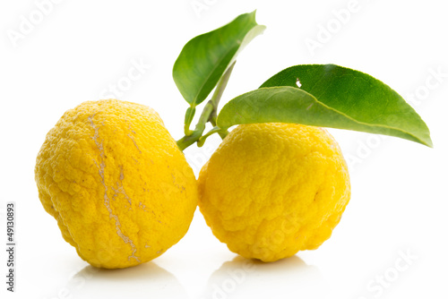 Japanese citron fruits isolated on white background