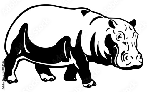 Tableau sur toile hippopotamus black white image