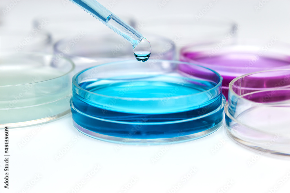 Pipette with drop of color liquid and petri dishes Pipette with drop of color liquid and petri dishes