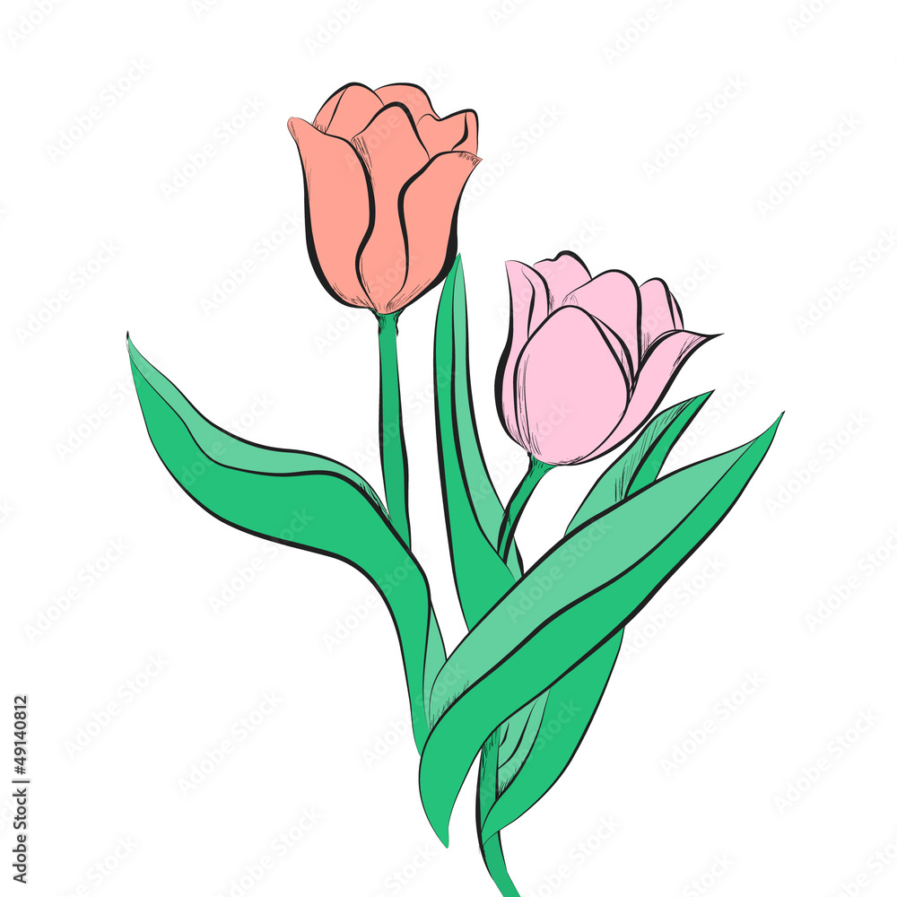 Tulips Tulips