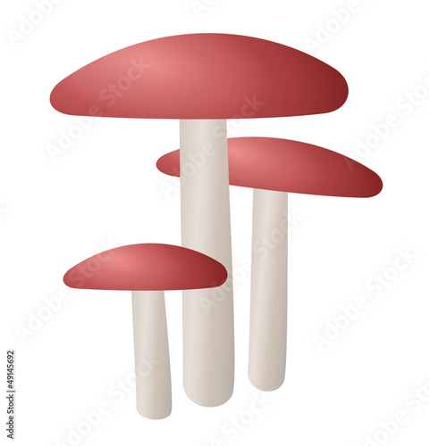 Three red mushrooms