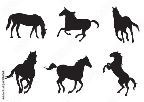 Sets of silhouette horses  create by vector