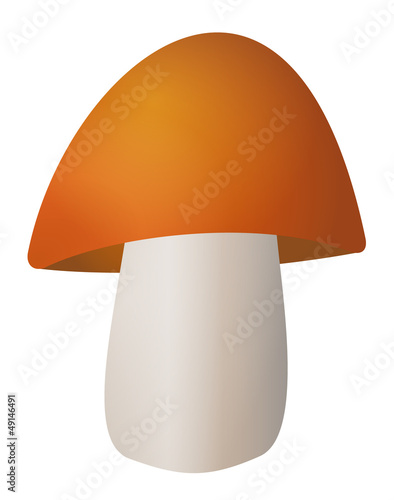 Leccinum mushroom illustration