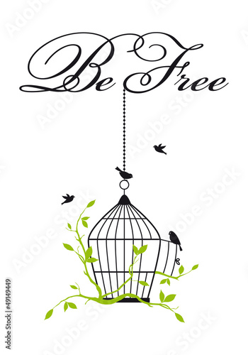 open birdcage with free birds, vector