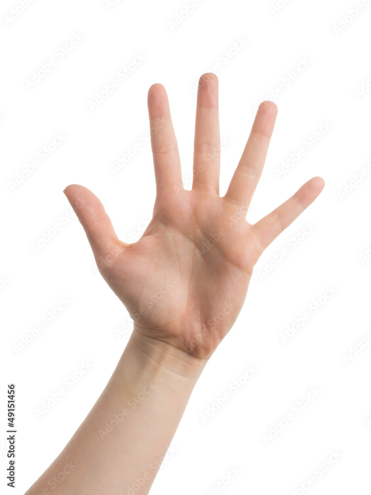 Hand Hand
