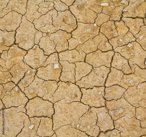 Dry soil texture on the ground