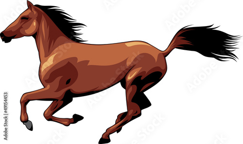 horse
