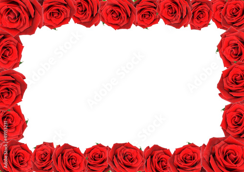 Frame of red roses
