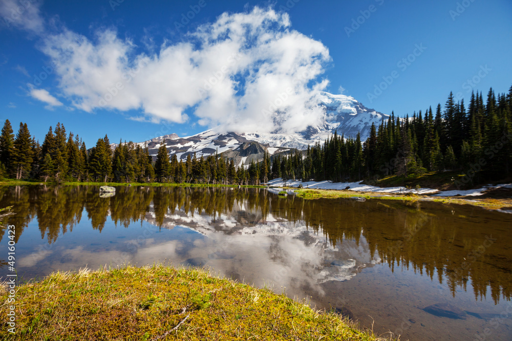 Fototapeta premium Mt.Rainier