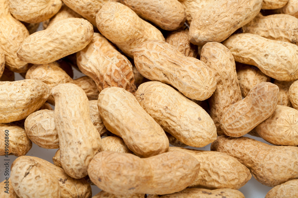.Dried peanuts in closeup on the white background .Dried peanuts in closeup on the white background