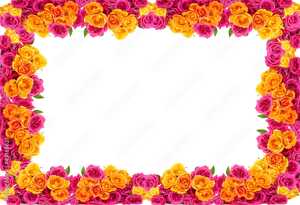 yellow and pink roses  flowers blossom frame