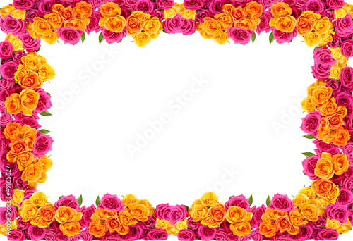 yellow and pink roses flowers blossom frame