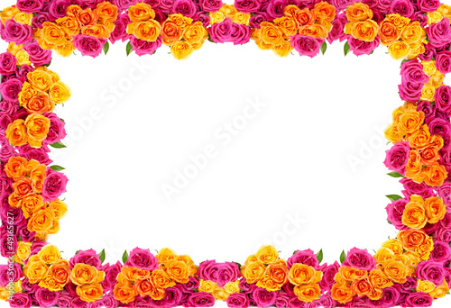 yellow and pink roses  flowers blossom frame