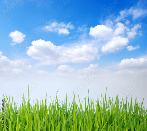 grass and white clouds