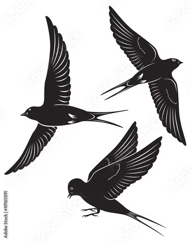 Naklejka na ścianę połykać ptaka