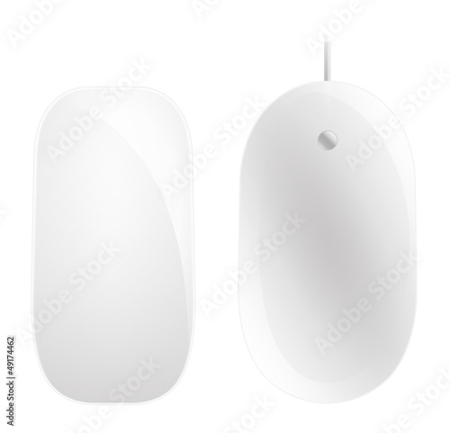 Mouse