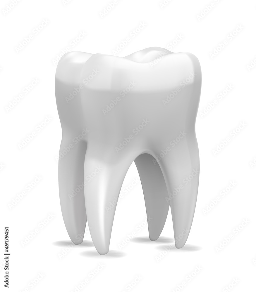 White Tooth White Tooth