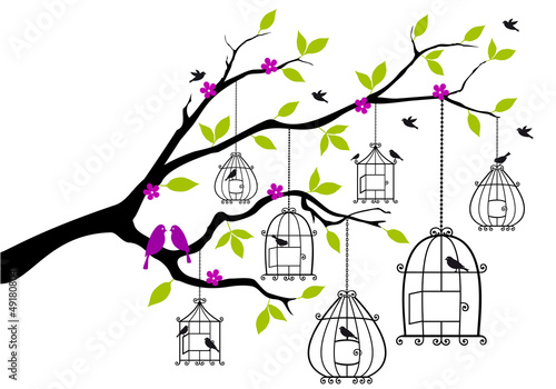 tree with birds and open birdcages, vector